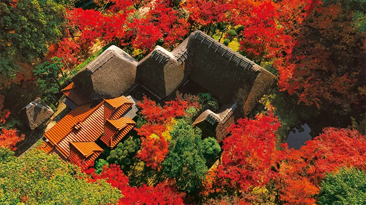 九年庵 上景